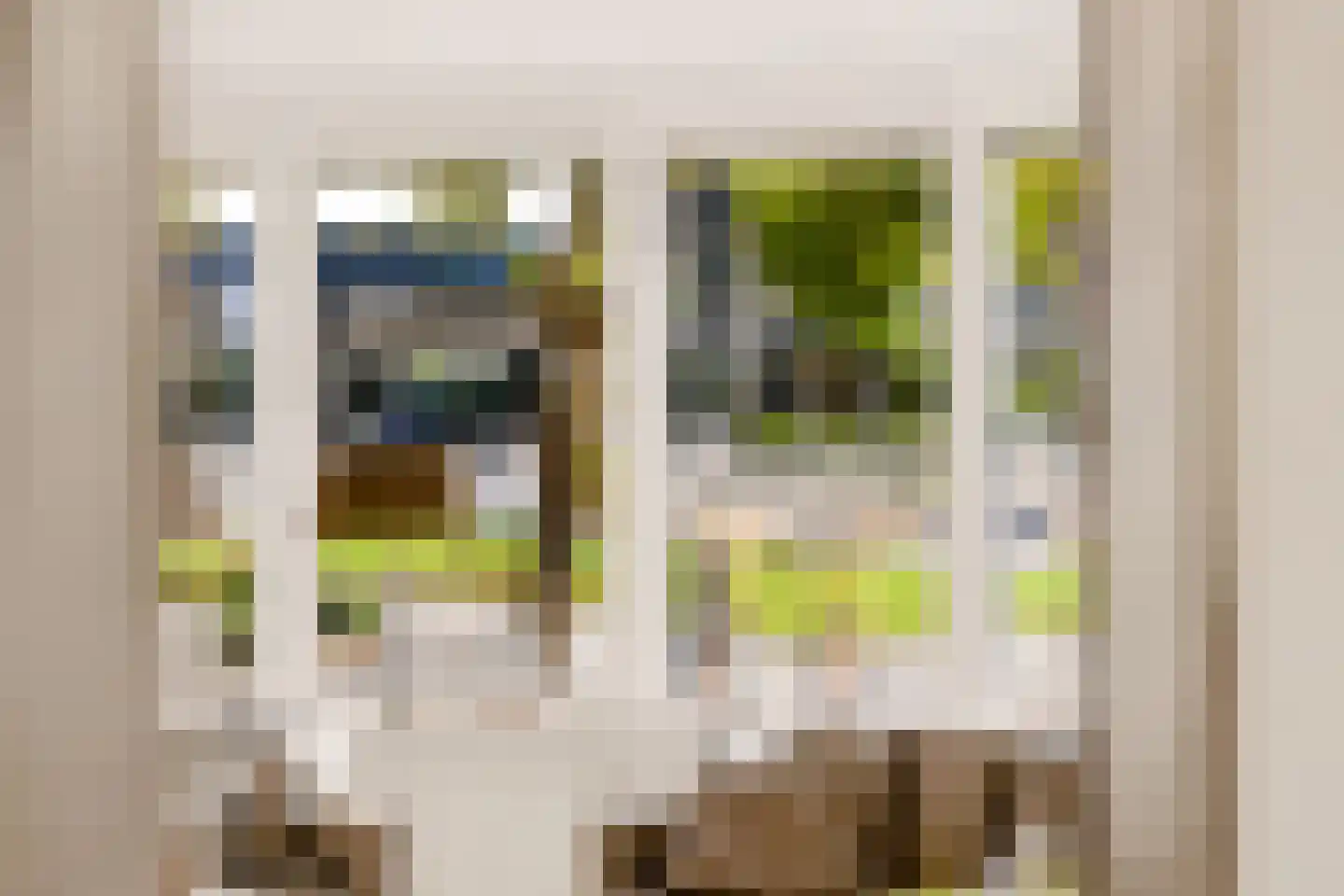Notarisappel 234 Tiel thumbnail 11