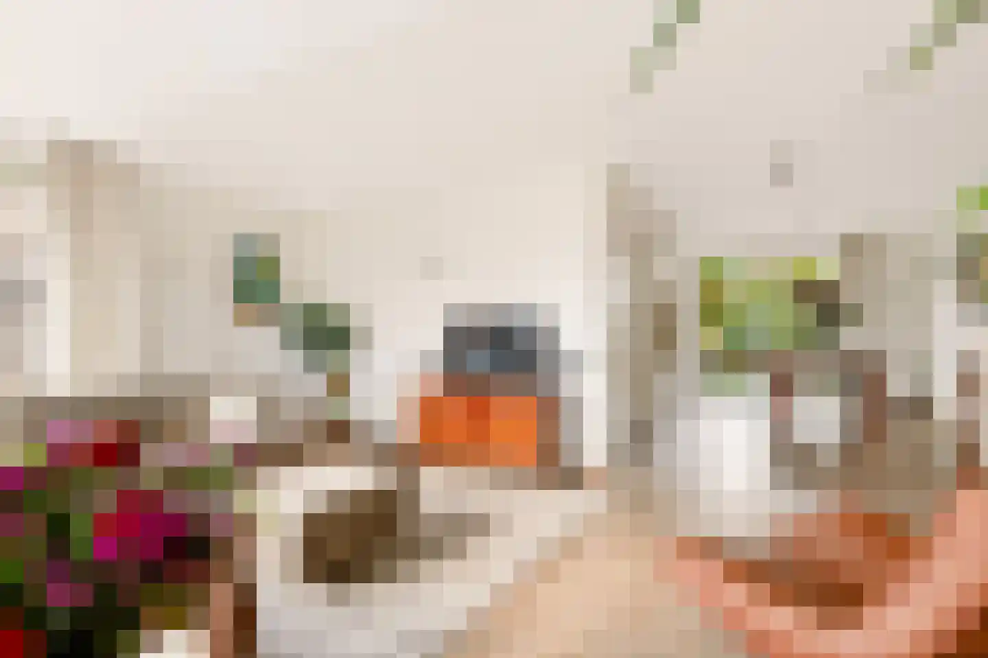Notarisappel 234 Tiel thumbnail 15