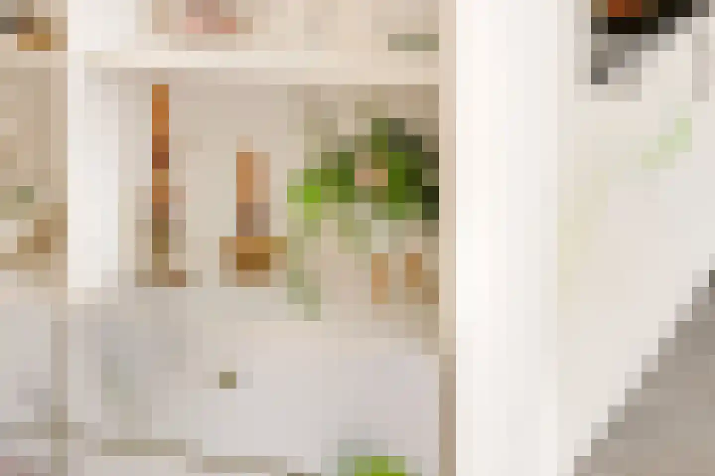 Notarisappel 234 Tiel thumbnail 17
