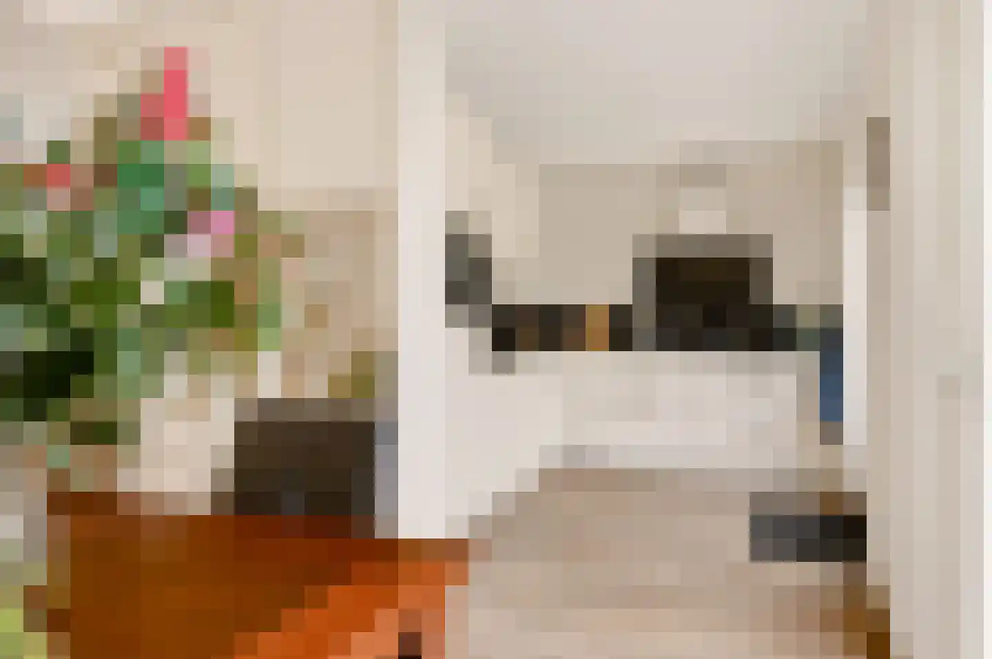 Notarisappel 234 Tiel thumbnail 18