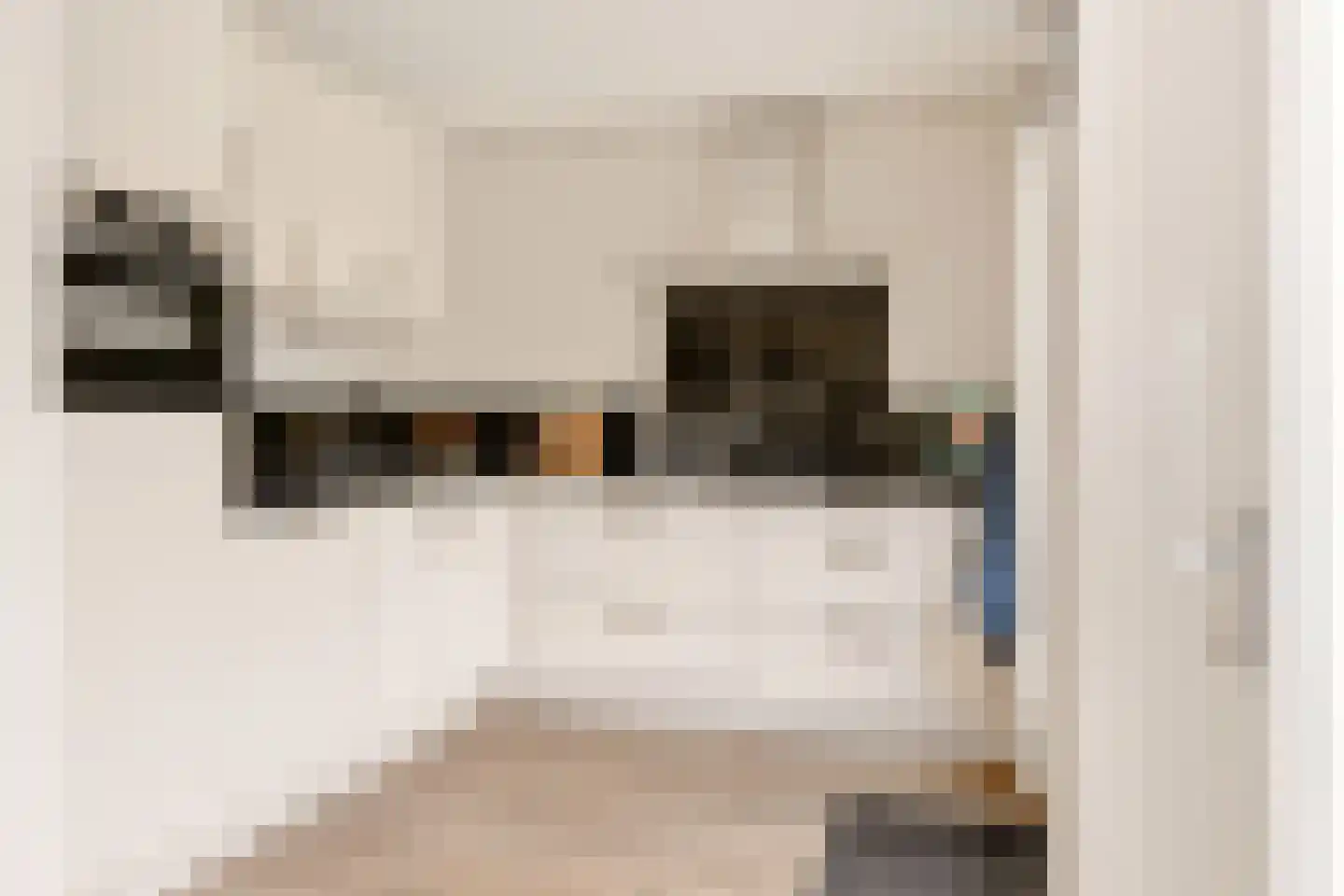 Notarisappel 234 Tiel thumbnail 20