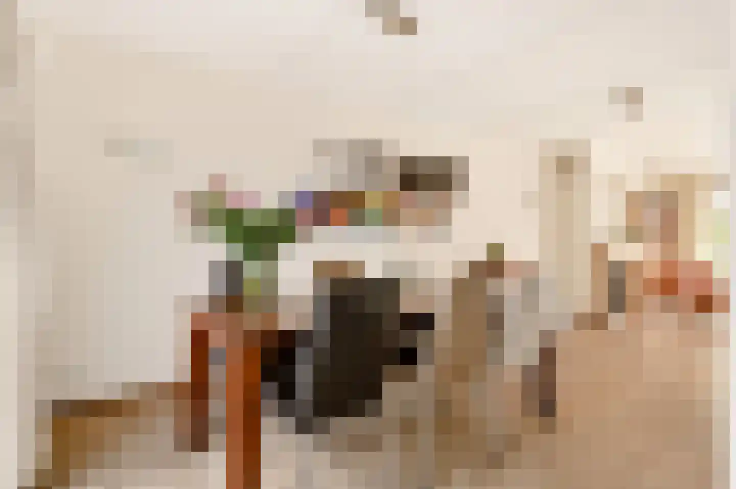 Notarisappel 234 Tiel thumbnail 22