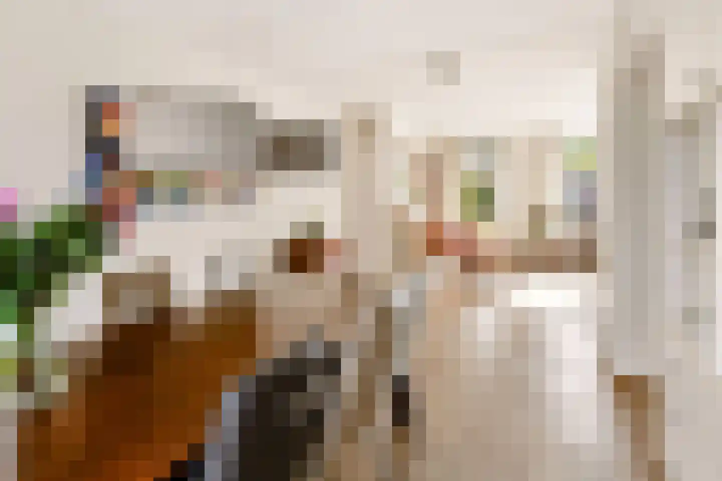 Notarisappel 234 Tiel thumbnail 23