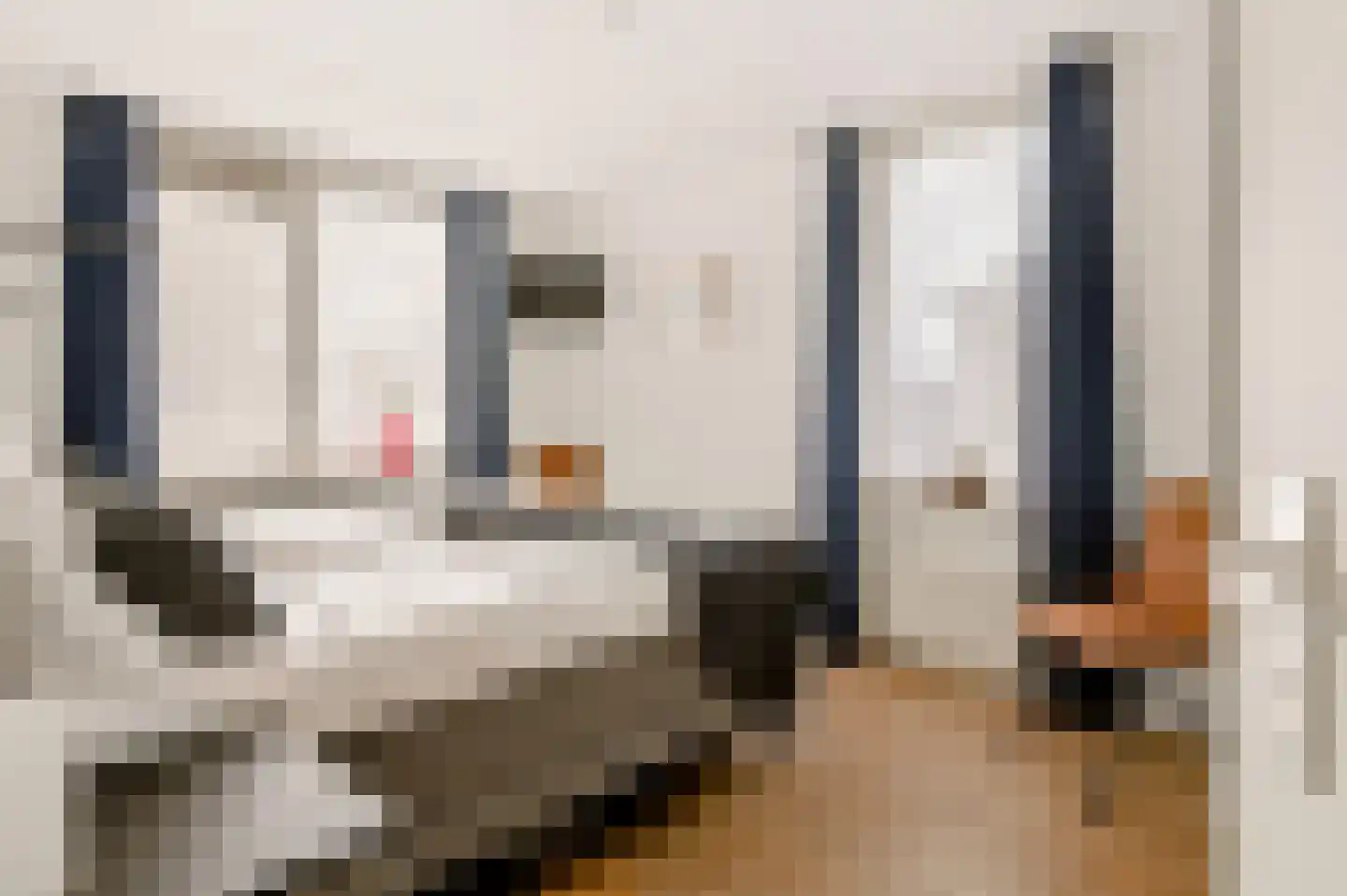Notarisappel 234 Tiel thumbnail 25