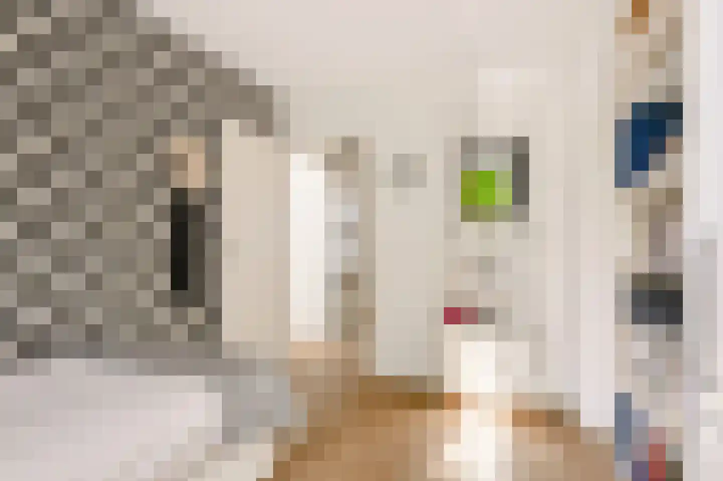 Notarisappel 234 Tiel thumbnail 29