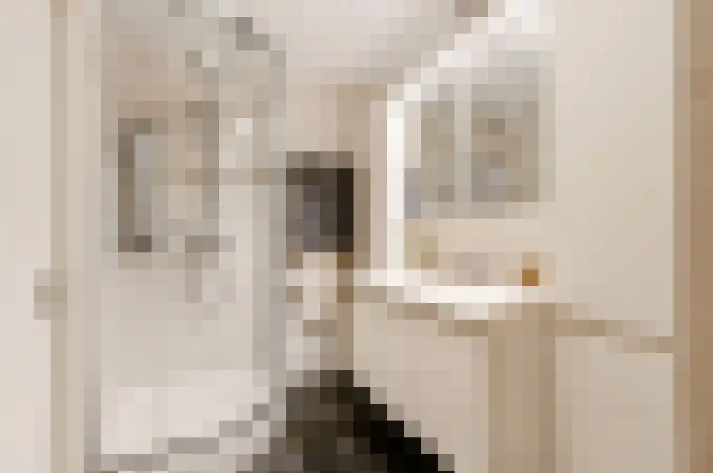 Notarisappel 234 Tiel thumbnail 36