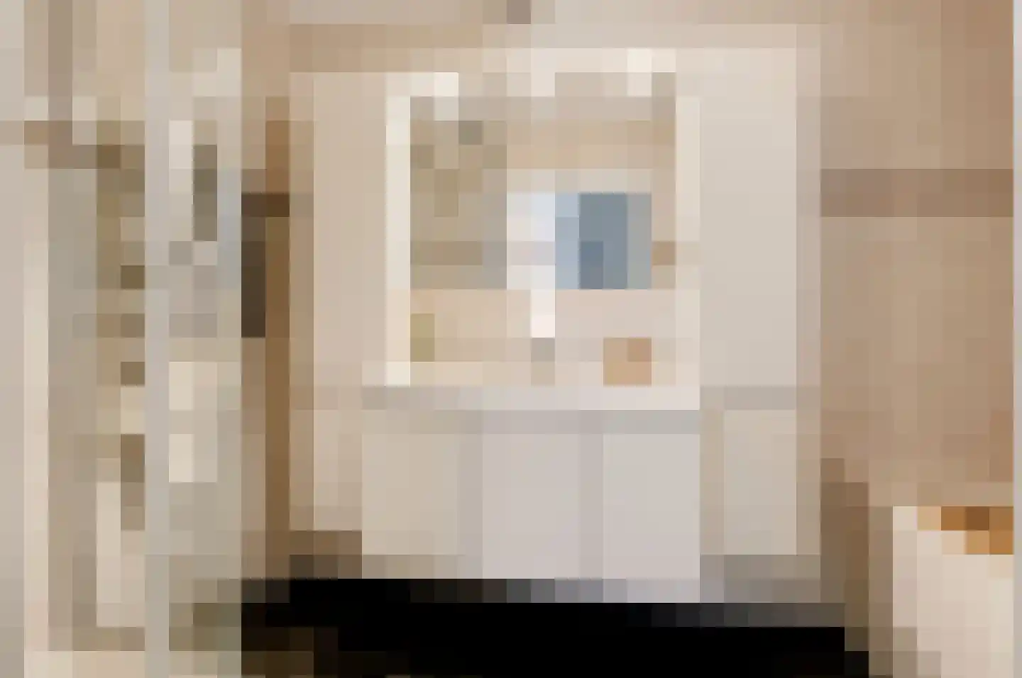 Notarisappel 234 Tiel thumbnail 37