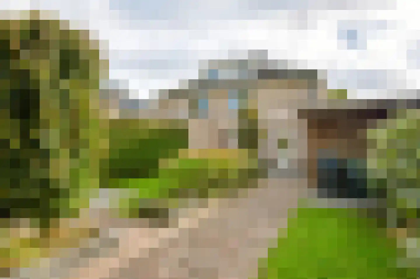 Notarisappel 234 Tiel thumbnail 4