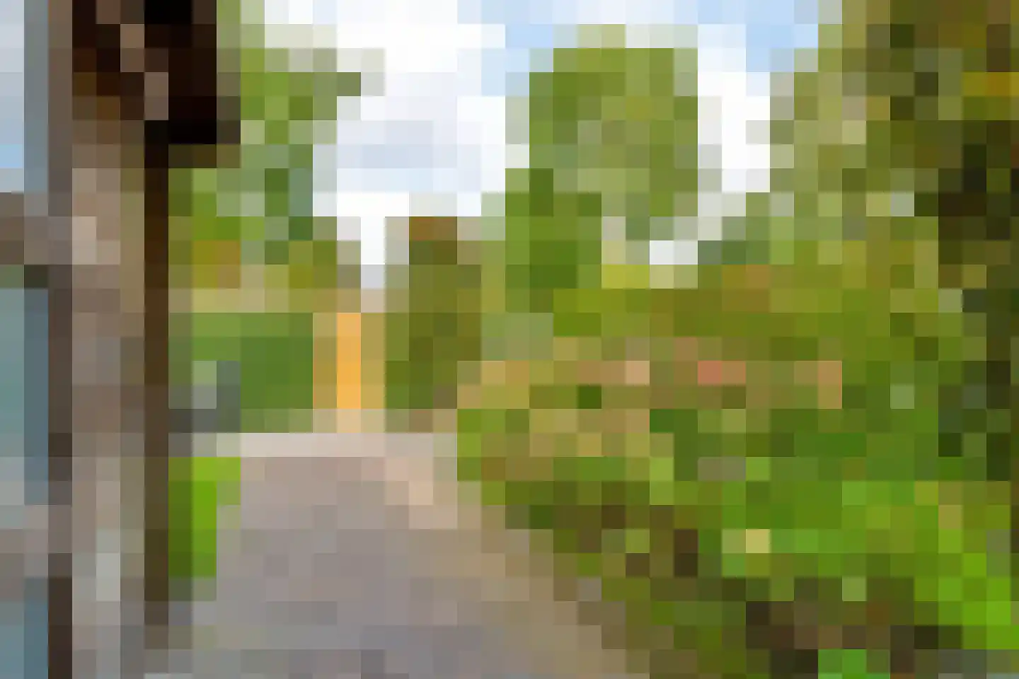 Notarisappel 234 Tiel thumbnail 50