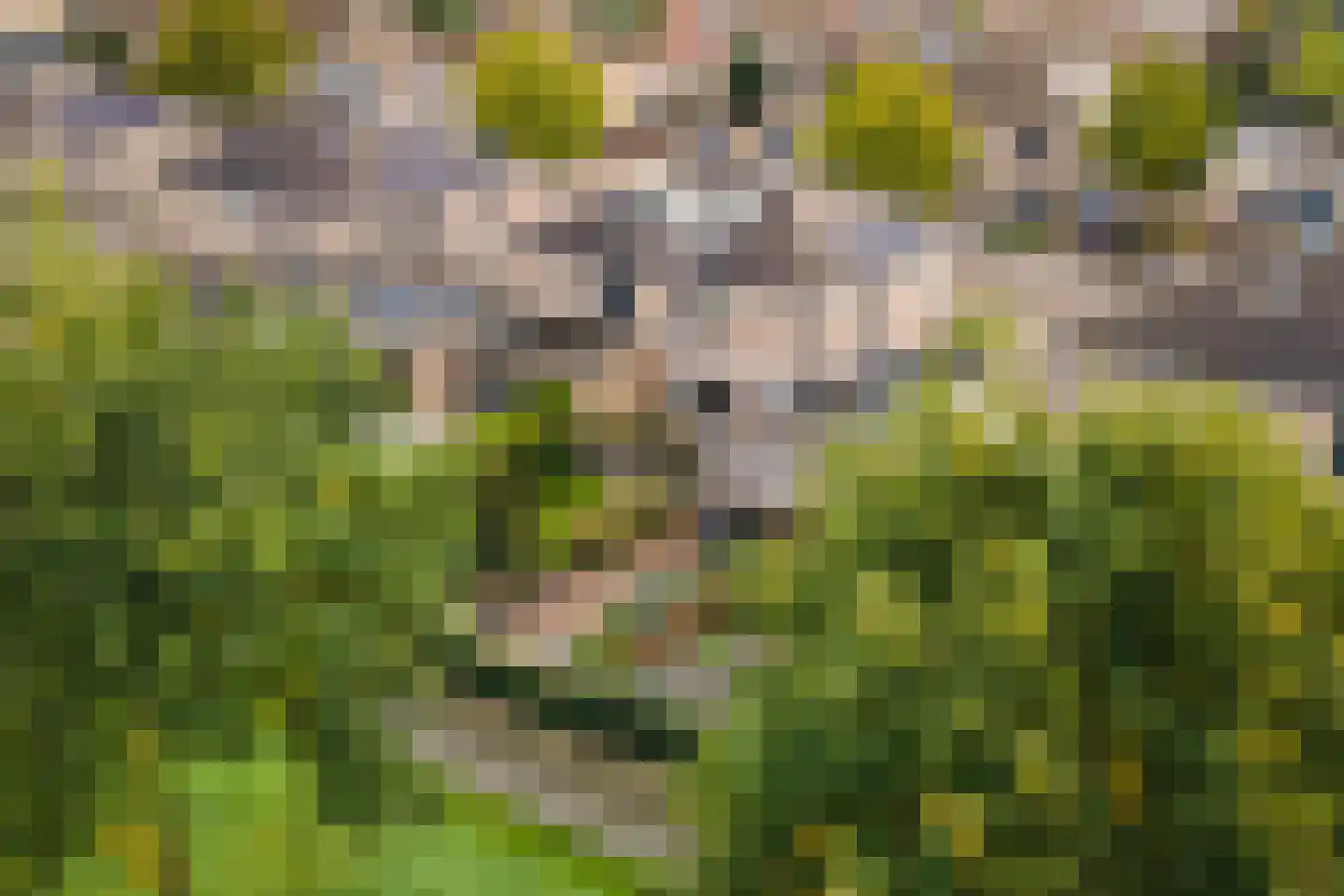 Notarisappel 234 Tiel thumbnail 60