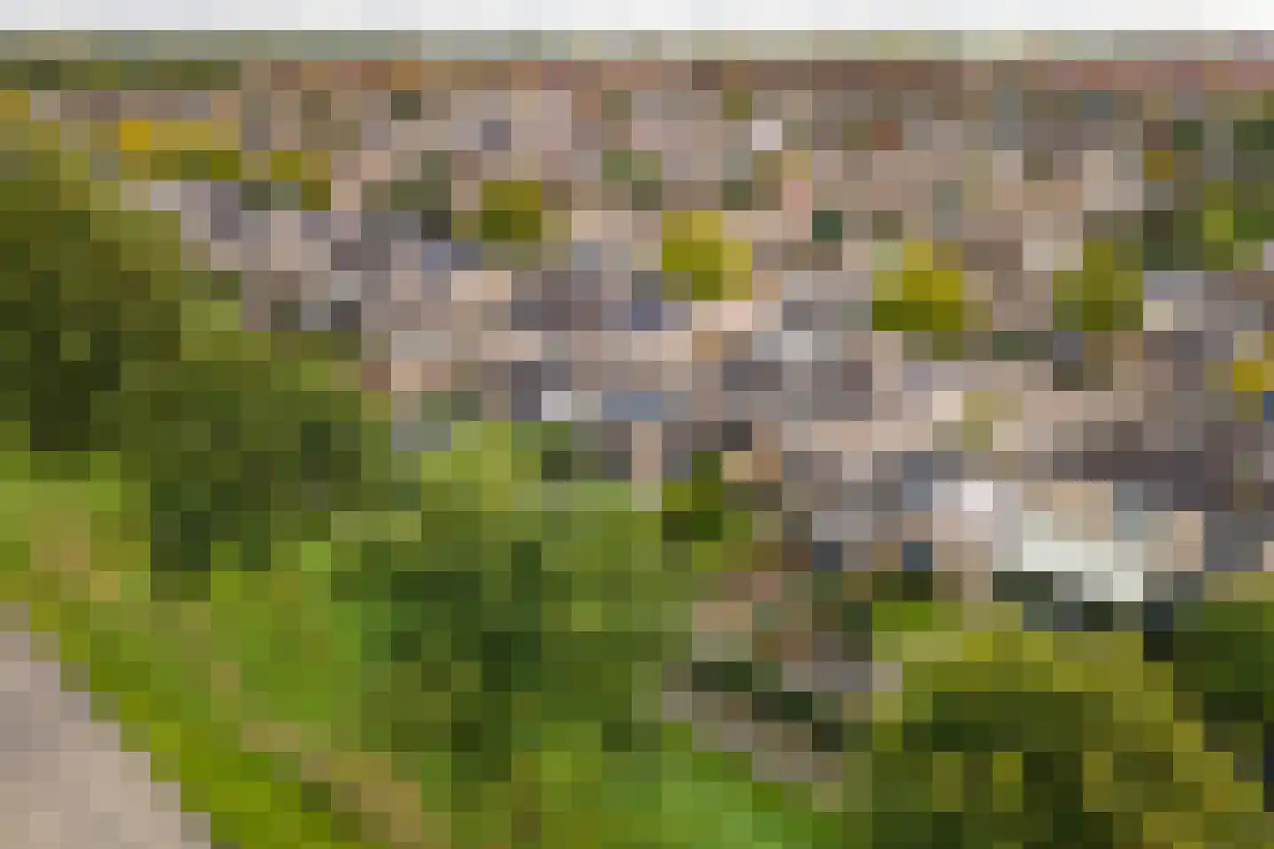 Notarisappel 234 Tiel thumbnail 61
