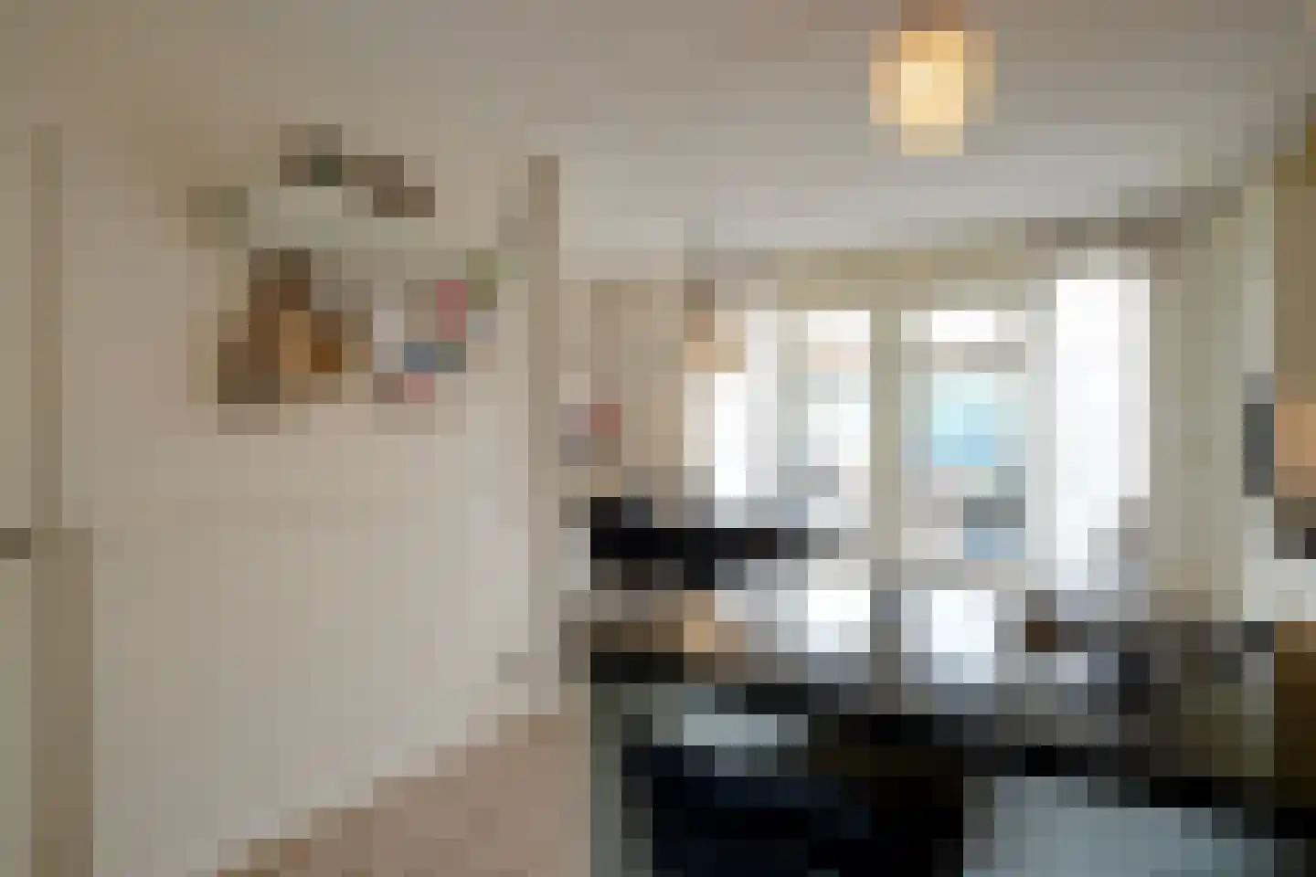 Notarisappel 26 Andijk thumbnail 10