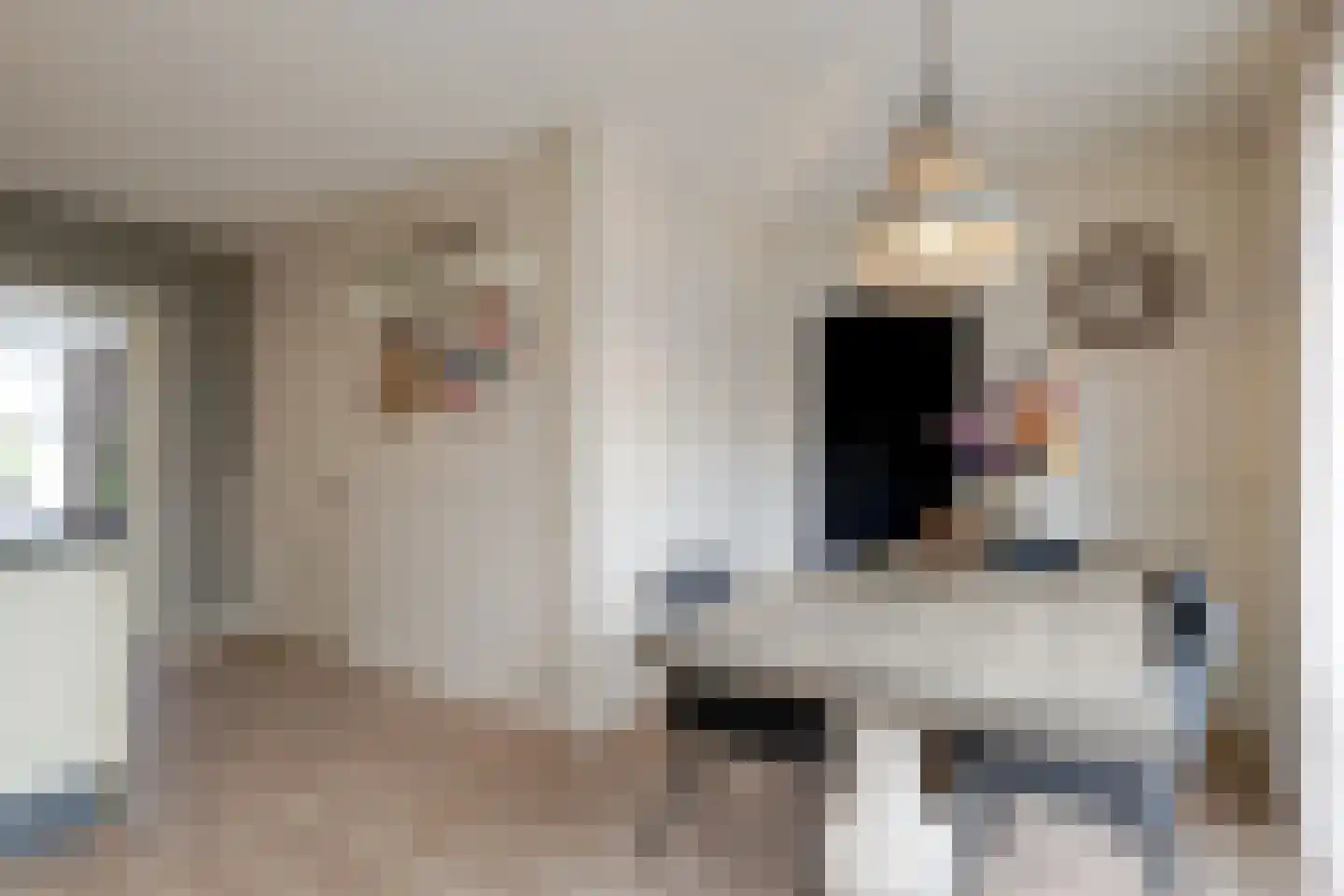 Notarisappel 26 Andijk thumbnail 15