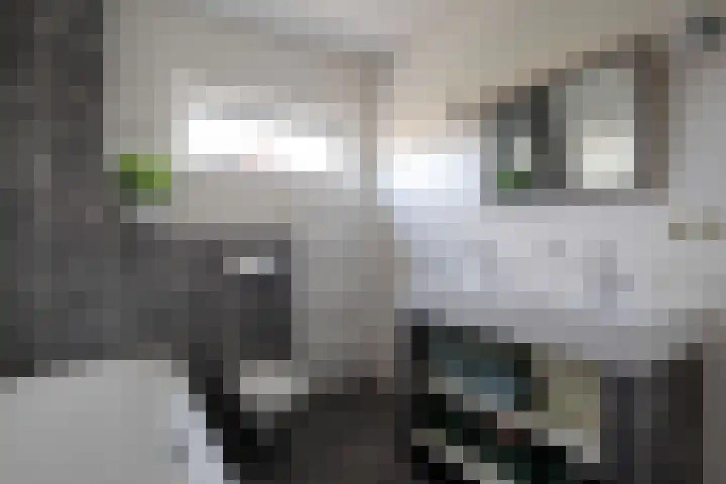 Notarisappel 26 Andijk thumbnail 32