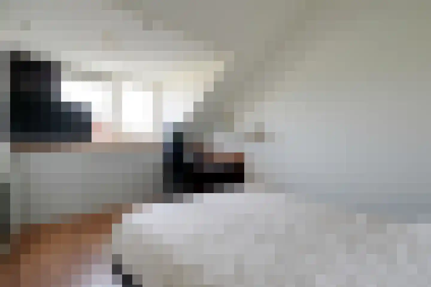 Notarisappel 26 Andijk thumbnail 40
