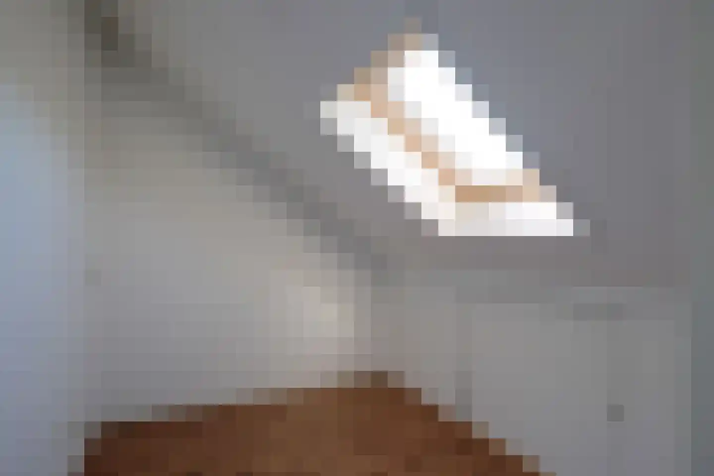 Notarisappel 26 Andijk thumbnail 43