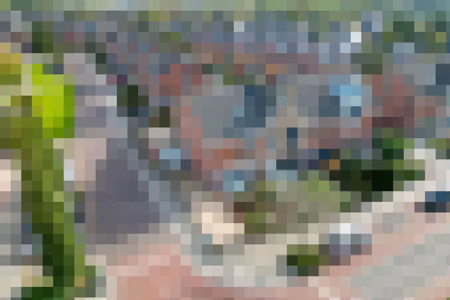 Notarisappel 26 Andijk thumbnail 45