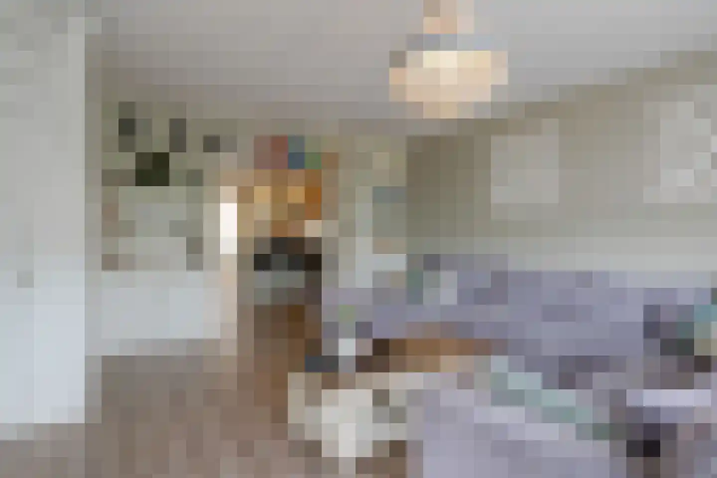 Notarisappel 26 Andijk thumbnail 6
