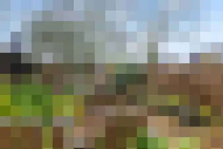 Notarisappel 27 Tiel thumbnail 32