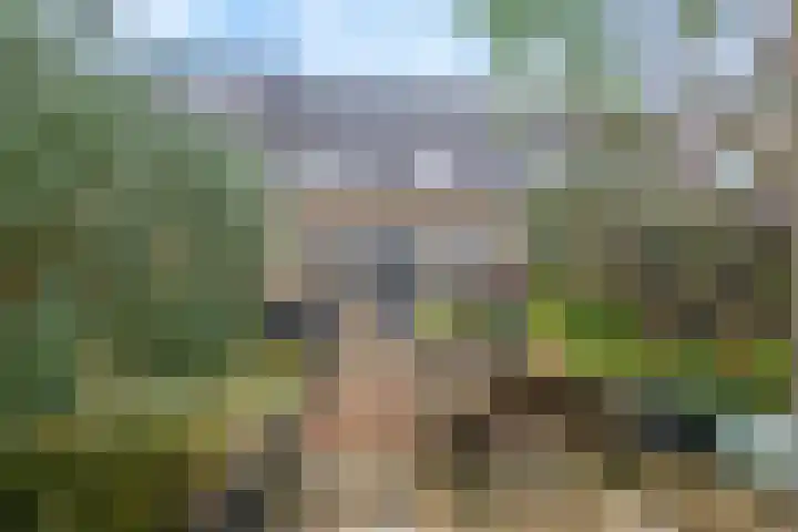 Notarisappel 27 Tiel thumbnail 33