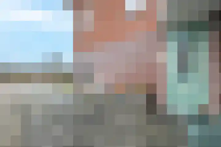 Notarisappel 28 Andijk thumbnail 11