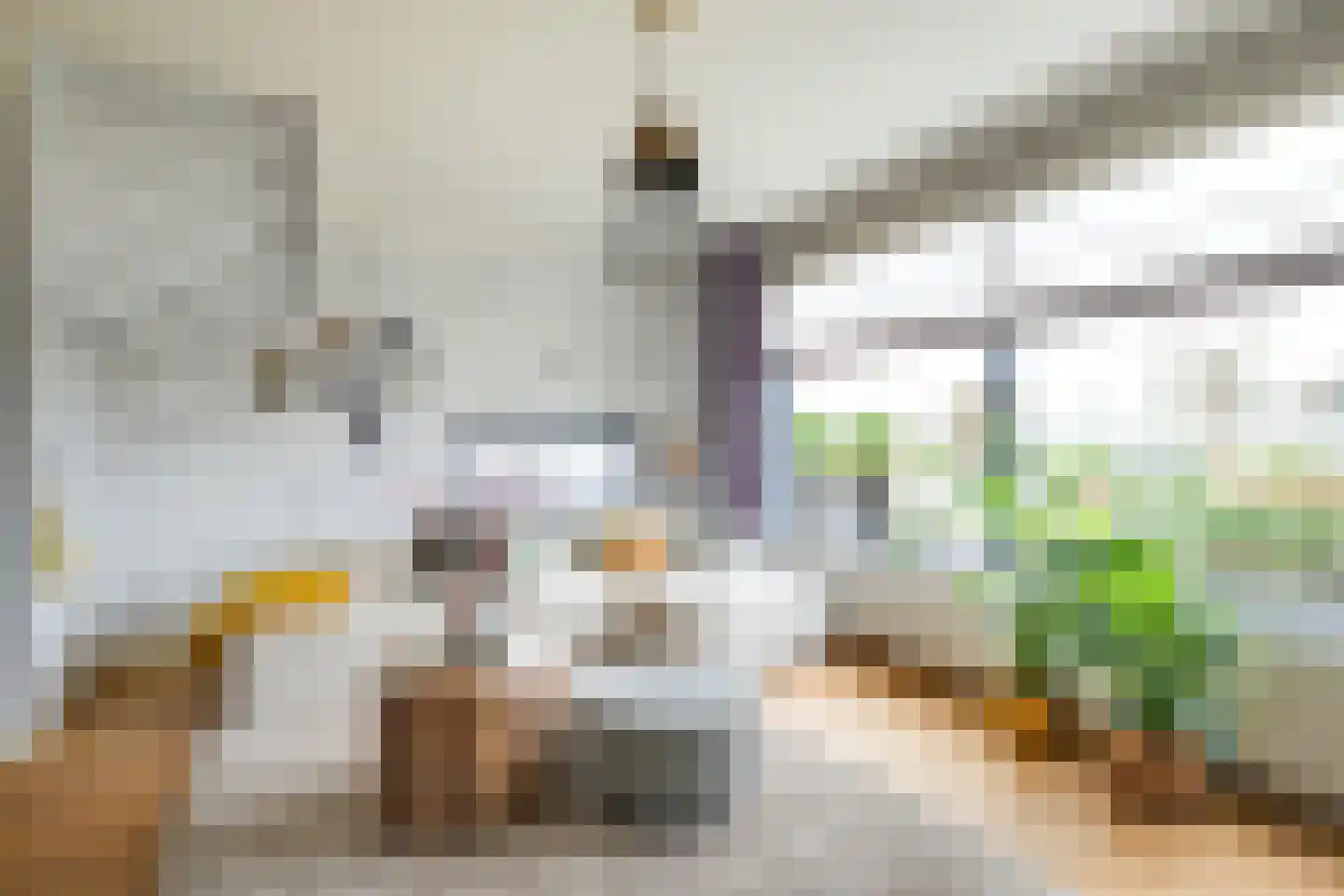 Notarisappel 28 Andijk thumbnail 17