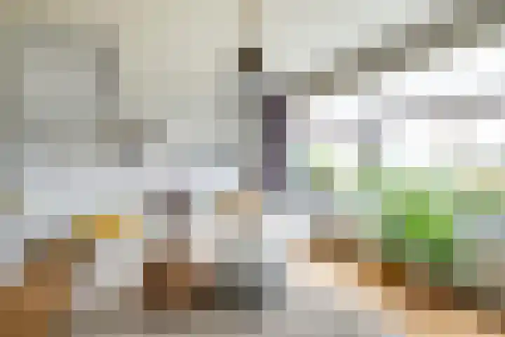 Notarisappel 28 Andijk thumbnail 17