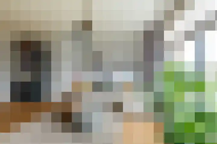 Notarisappel 28 Andijk thumbnail 19