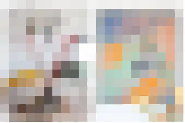 Notarisappel 28 Andijk thumbnail 22