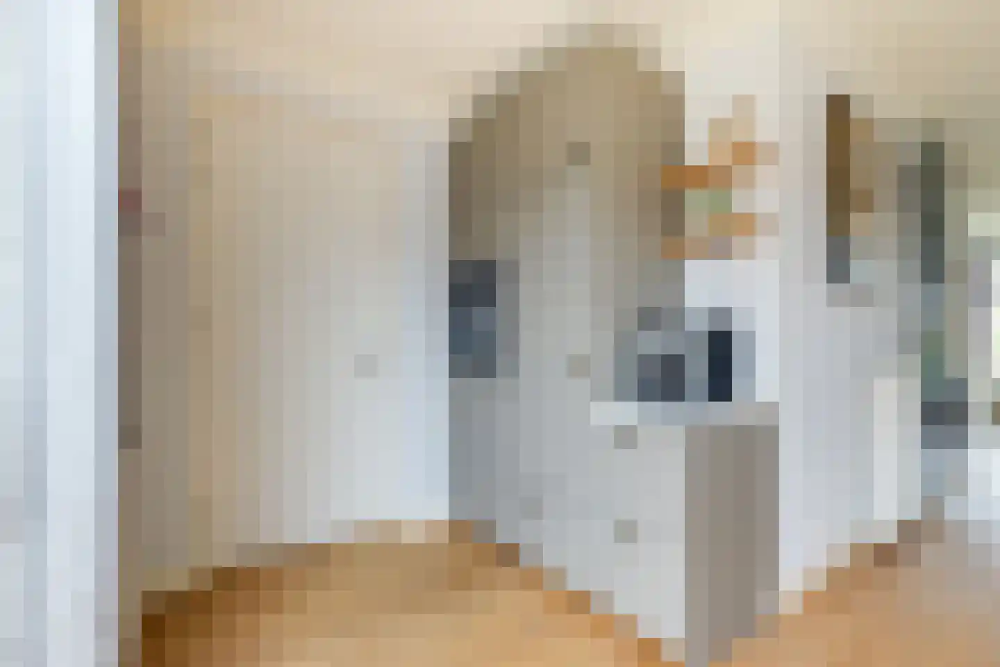 Notarisappel 28 Andijk thumbnail 29