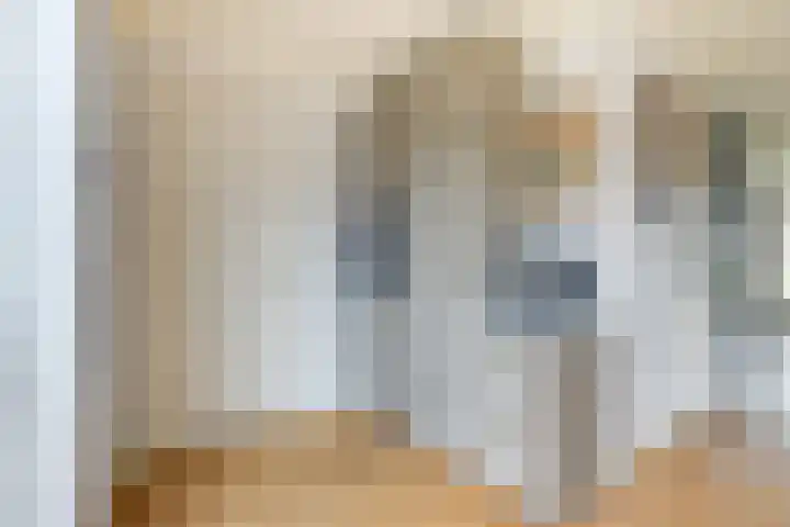 Notarisappel 28 Andijk thumbnail 29