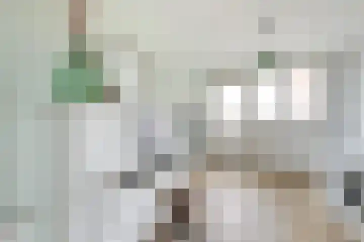 Notarisappel 28 Andijk thumbnail 34