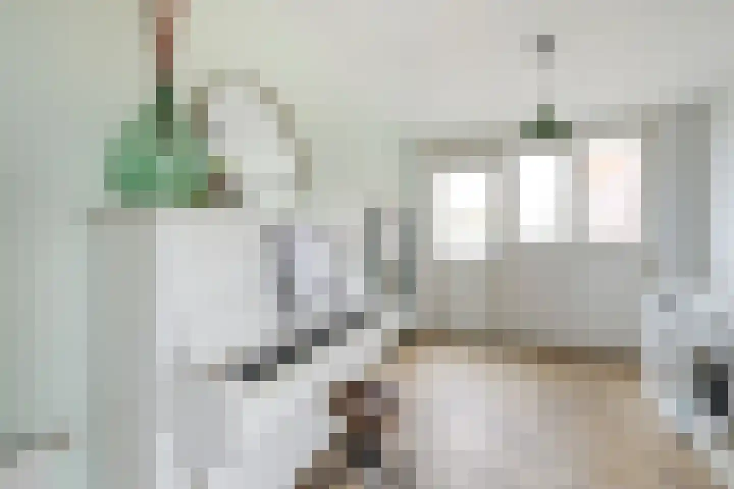 Notarisappel 28 Andijk thumbnail 34