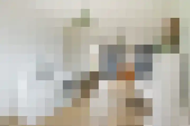 Notarisappel 28 Andijk thumbnail 37