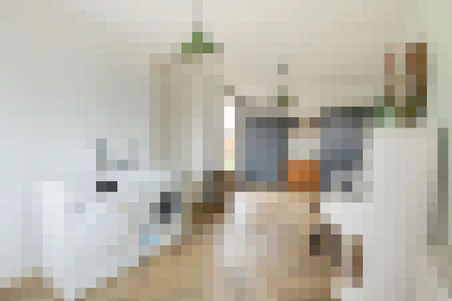 Notarisappel 28 Andijk thumbnail 37