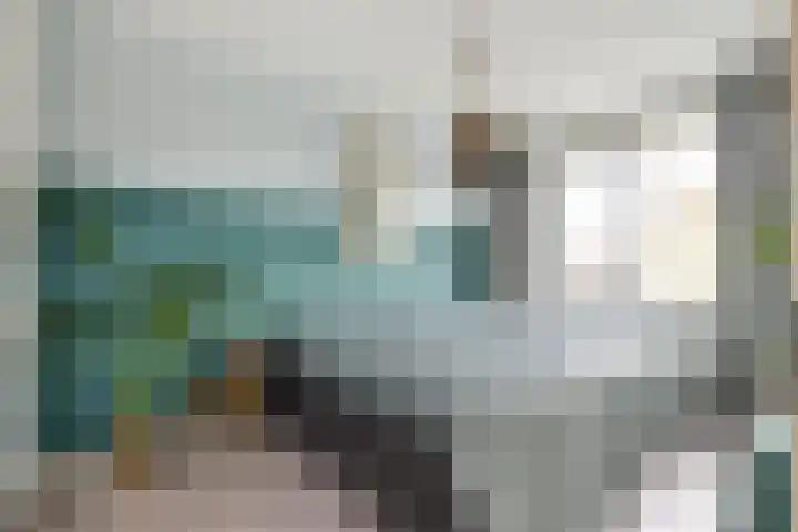 Notarisappel 28 Andijk thumbnail 40