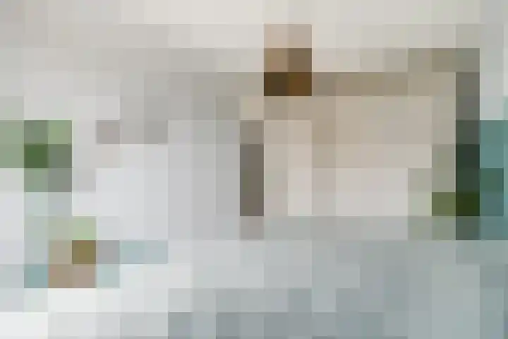 Notarisappel 28 Andijk thumbnail 43