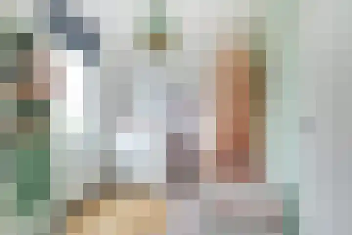 Notarisappel 28 Andijk thumbnail 44