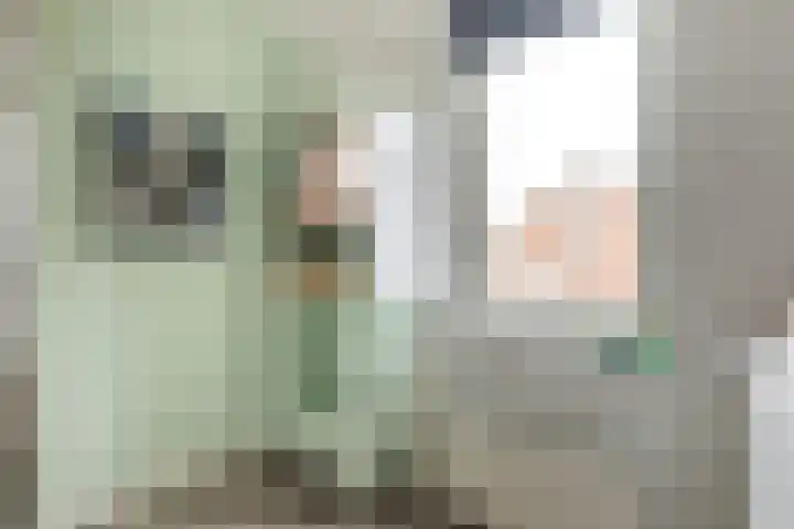 Notarisappel 28 Andijk thumbnail 46