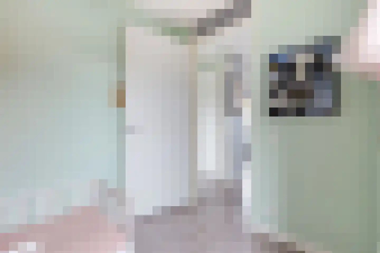 Notarisappel 28 Andijk thumbnail 47