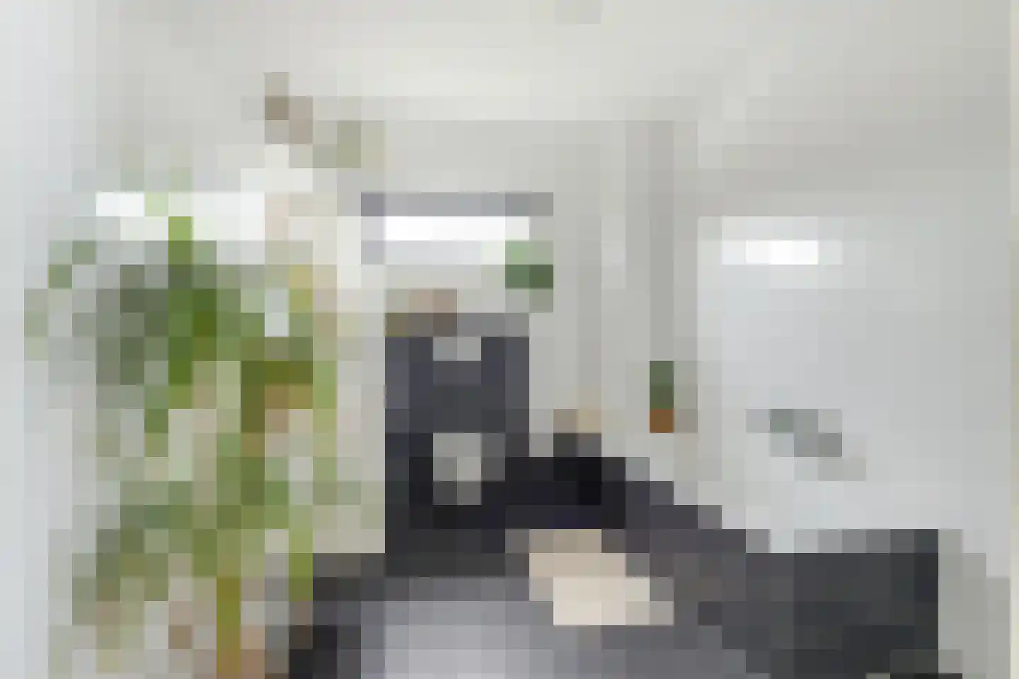 Notarisappel 28 Andijk thumbnail 52