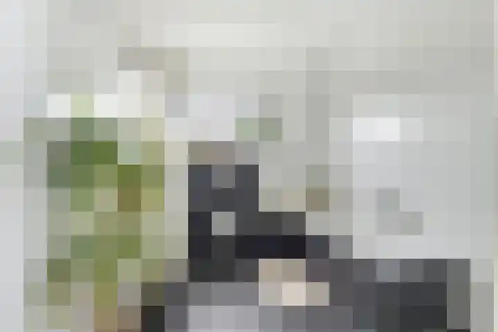 Notarisappel 28 Andijk thumbnail 52