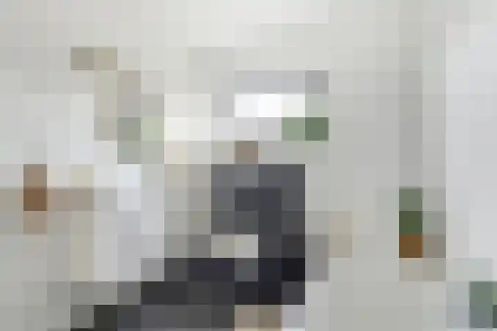 Notarisappel 28 Andijk thumbnail 53