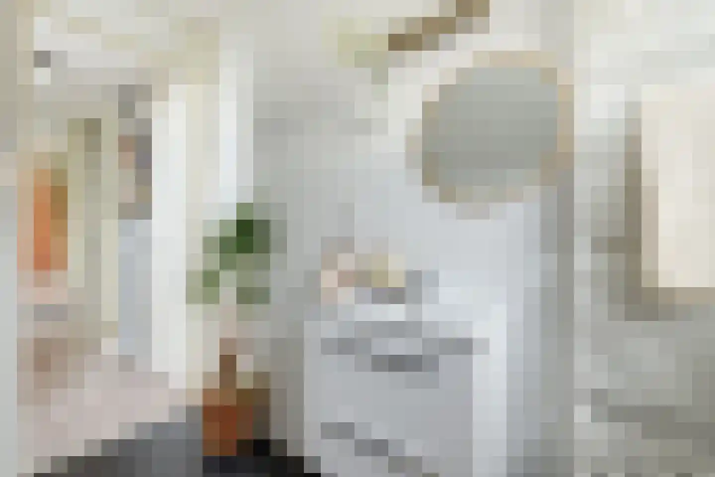 Notarisappel 28 Andijk thumbnail 54