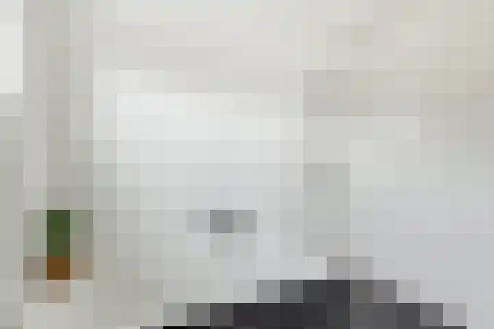 Notarisappel 28 Andijk thumbnail 56