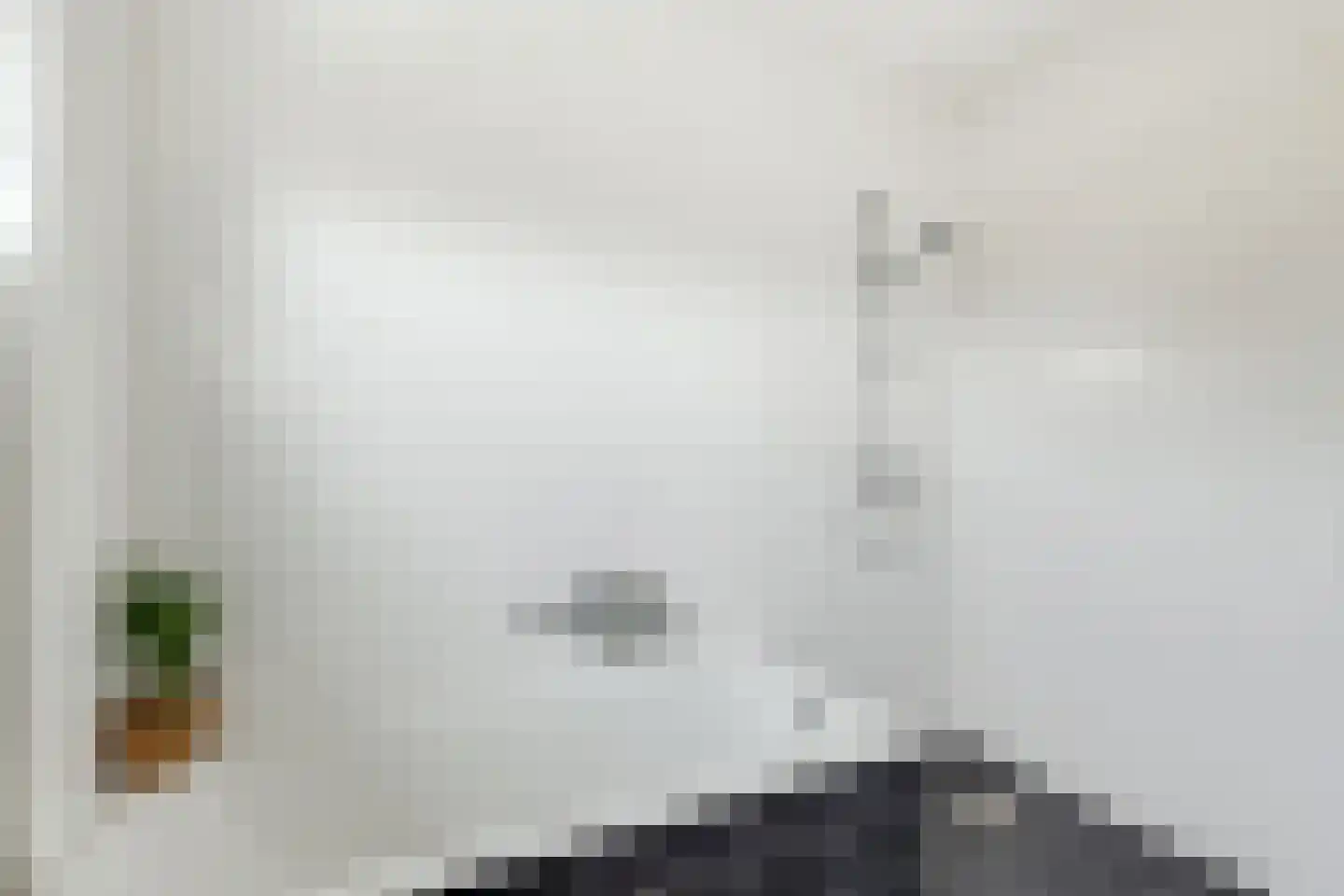 Notarisappel 28 Andijk thumbnail 56
