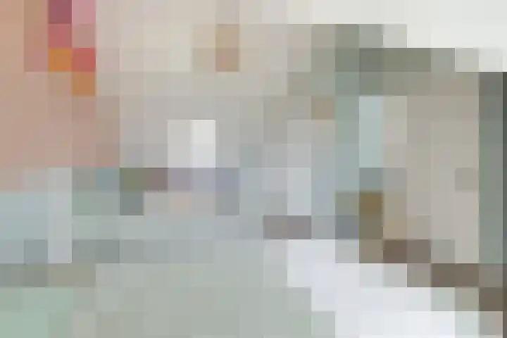 Notarisappel 28 Andijk thumbnail 59