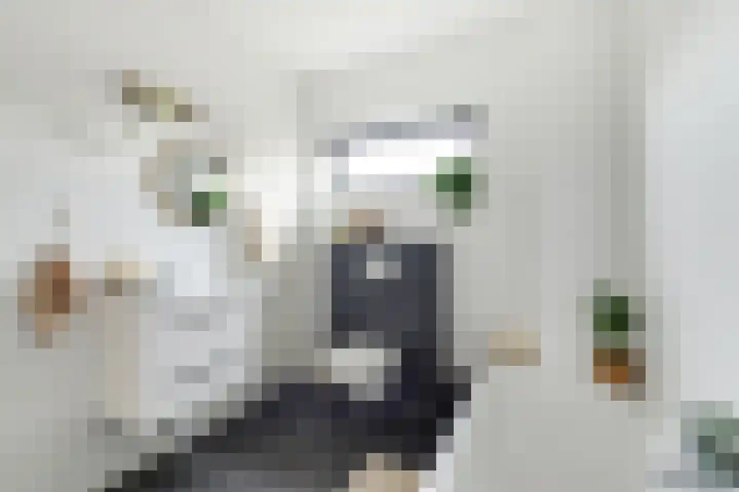 Notarisappel 28 Andijk thumbnail 6