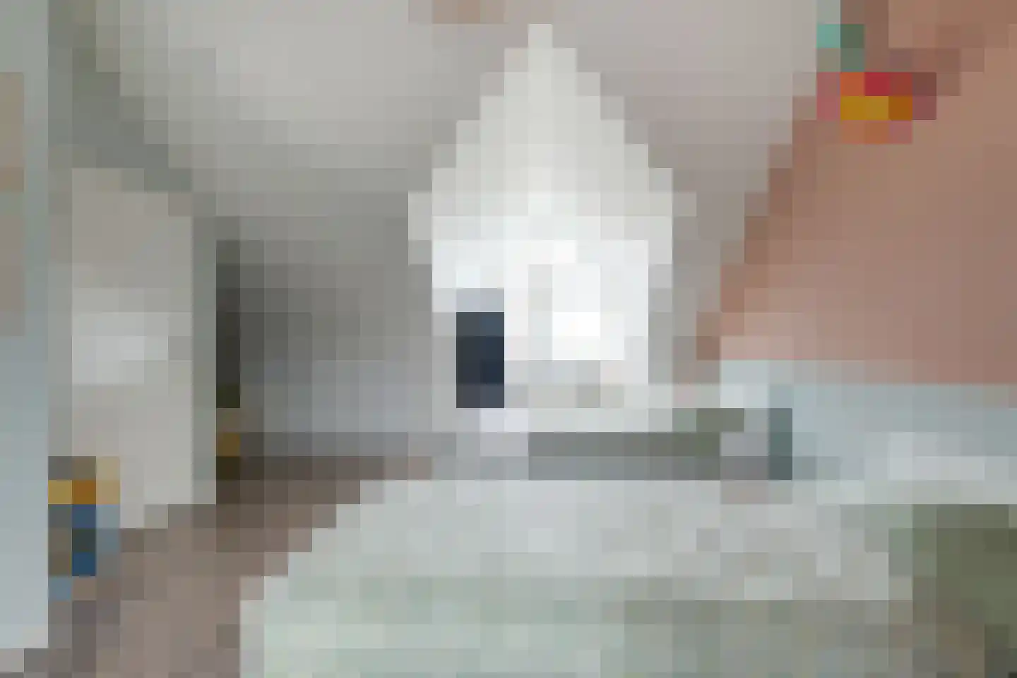 Notarisappel 28 Andijk thumbnail 62