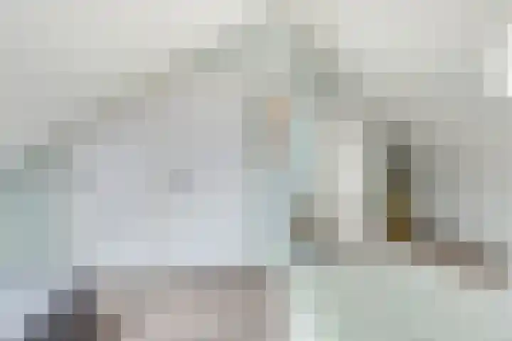 Notarisappel 28 Andijk thumbnail 63